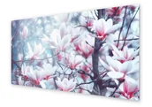 Dekoracje domu - Panel kuchenny HOMEPRINT Kwiaty magnolii 125x50 cm - miniaturka - grafika 1