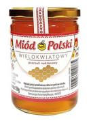 Miód - APIS Miód Polski wielokwiatowy 550 g - miniaturka - grafika 1