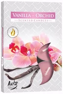 Świece - Bispol świece zapachowe 6szt wanilia / orchidea - miniaturka - grafika 1