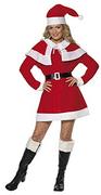 Sukienki - Smiffys, Damski kostium na Boże Narodzenie, sukienka, czapka, pasek i czapka, rozmiar: L, 24506 - miniaturka - grafika 1