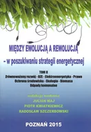 Technika - Między ewolucją a rewolucją - w poszukiwaniu strategii energetycznej Tom 2 - Fundacja na rzecz Czystej Energii - miniaturka - grafika 1