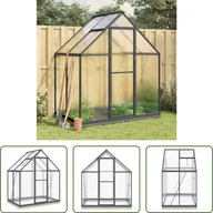 Szklarnie ogrodowe - The Living Store Szklarnia z ramą fundamentową antracyt 169x114x202 cm aluminium - miniaturka - grafika 1