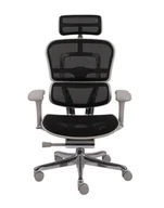 Fotele i krzesła biurowe - Ergonomiczny fotel biurowy Ergohuman 2 Elite Pro GS Black - miniaturka - grafika 1
