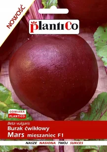 NASIONA Burak Ćwikłowy Mars Mieszaniec F1 10g PLANTICO 403680 - Nasiona i cebule - miniaturka - grafika 1