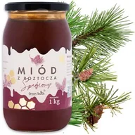 Miód - Miód spadziowy iglasty 1 kg polski ze spadzi iglastej miody z Roztocza - miniaturka - grafika 1