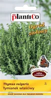 Nasiona i cebule - NASIONA Tymianek Właściwy Pospolity 0,3g PLANTICO Miododajny 424135 - miniaturka - grafika 1