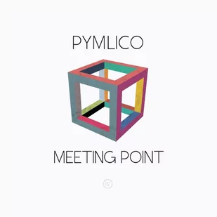 Plastic Head Meeting Point - Muzyka alternatywna - miniaturka - grafika 1