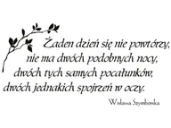 Naklejki na ścianę - Cytaty, Żaden dzień się nie powtórzy, Naklejka ścienna wielokrotnego użytku, 200x100 cm - miniaturka - grafika 1