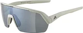 Gogle narciarskie - ALPINA Unisex - Dorośli, TURBO HR Okulary sportowe, cool-grey matt/black, One Size - miniaturka - grafika 1