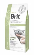 Sucha karma dla kotów - Brit VET Brit Veterinary Diet Diabetes Chicken&Pea Sucha Karma dla kota op 2kg - miniaturka - grafika 1