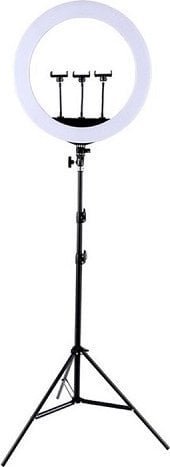 Naświetlacz Extra Digital LED žiedinė lempa 45cm, su trikoju stovu iki 2.1m TBD01123671