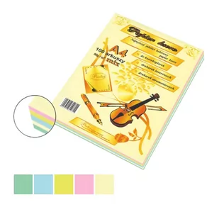 Protos r ksero A4 80g/m2 mix 5 kolorów pastelowych PROTOS (100 arkuszy) - Papier do drukarek - miniaturka - grafika 1