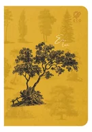 Zeszyty szkolne - Zeszyt A5/80K kratka By Nature - Forrest (10szt) - Elanders - miniaturka - grafika 1