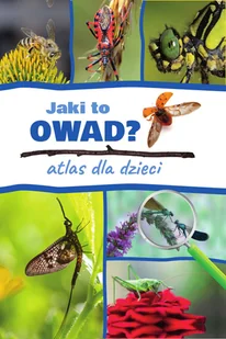 Kamila Twardowska,Jacek Twardowski Jaki to owad Atlas dla dzieci - Książki edukacyjne - miniaturka - grafika 3