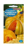 Nasiona i cebule - Dynia piżmowa Musquee d'Hiver de Provence 3 g POLAN - miniaturka - grafika 1