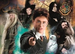 Puzzle 500 Compact Harry Potter - Puzzle - miniaturka - grafika 1