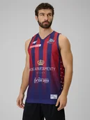 Koszulki męskie - 4F Koszulka meczowa replika wyjazdowa z sezonu 2025/26 męska 4F x King Szczecin - granatowa XXL - miniaturka - grafika 1