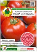 Nasiona i cebule - Pomidor Rumba Ożarowska 100 nasion wczesna odmiana o mięsistym miąższu - miniaturka - grafika 1
