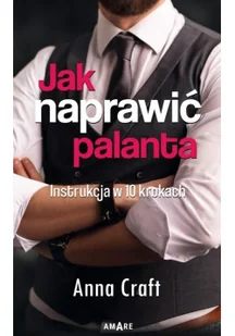 Jak naprawić palanta Nowa - Romanse - miniaturka - grafika 2