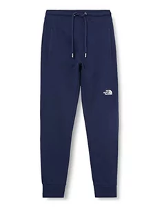 THE NORTH FACE spodnie męskie nse light - Spodnie męskie - miniaturka - grafika 1