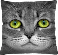 Kołdry i poduszki dla dzieci - Bertoni-arco Poduszka - LOLEK - 40x40 cm - miniaturka - grafika 1