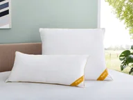 Poduszki - Balette Poduszka z gęsiego piór i puchu "Gold-Edition" 70 x 80 cm - miniaturka - grafika 1