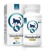 Suplementy i witaminy dla kotów - POKUSA ChondroCat 110 tabl. - miniaturka - grafika 1