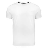 Koszulki sportowe męskie - Koszulka męska T-shirt Alpinus Como biały - miniaturka - grafika 1