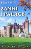 Archeologia - Śląskie zamki i pałace - miniaturka - grafika 1