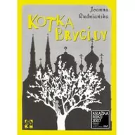 Książki edukacyjne - KOTKA BRYGIDY Joanna Rudniańska - miniaturka - grafika 1