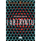 Fantasy - Przebudzenie labiryntu - miniaturka - grafika 1