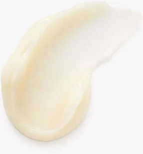 Kiehl`s Kiehl`s Pielęgnacja nawilżająca Serum-Infused Water Cream 28.0 ml - Serum do twarzy - miniaturka - grafika 2