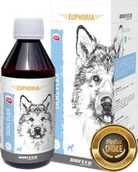 Suplementy i witaminy dla psów - BIOFEED EUPHORIA Dog Flex Preparat na stawy dla psa 250ml - miniaturka - grafika 1