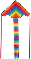 Zabawki i gry sportowe - Latawiec dla dzieci Rainbow Dragon Fly - miniaturka - grafika 1