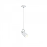 Lampy sufitowe - Paulmann Lampa wisząca Neordic Lavea lampa wisząca max 1x15W E27 Weiß 230V Metall PL79767 - miniaturka - grafika 1