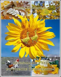 Rozsmakuj się w powiecie bydgoskim - Izabela Chudzyńska - Dom i ogród - miniaturka - grafika 1