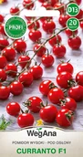 Nasiona i cebule - Pomidor Curranto (F1) 20 nasion nasiona - WegAna - miniaturka - grafika 1
