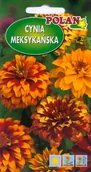 Nasiona i cebule - Cynia meksykańska 1 g POLAN - miniaturka - grafika 1