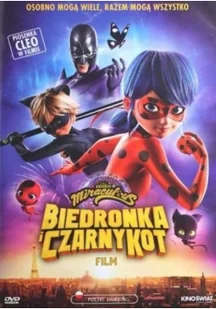Biedronka i czarny kot DVD - Baśnie, bajki, legendy - miniaturka - grafika 1