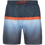 Kąpielówki męskie - Spodenki męskie PROTEST ERVIN beachshort - miniaturka - grafika 1