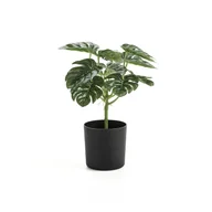 Sztuczne kwiaty - Sztuczna roślina EVERGREEN, Monstera, W 250 mm, 1 szt. - miniaturka - grafika 1