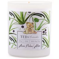 Świece - Ted & Friends sojowa świeca zapachowa w białym szkle 220 g - Acai Palm & Aloe - miniaturka - grafika 1