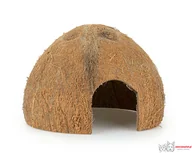 Dekoracje do terrarium - Skorupa kokosa Happet 1/2 nieszczotkowana 6 szt. - miniaturka - grafika 1