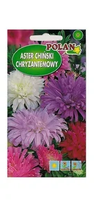 Aster chryzantemowy zestaw kolorów 1 g POLAN - Nasiona i cebule - miniaturka - grafika 1