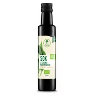 Witaminy i minerały - Dary Natury SOK Z CZOSNKU NIEDŹWIEDZIEGO BIO 250 ml - - miniaturka - grafika 1