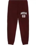 Spodnie sportowe męskie - AMERICAN COLLEGE USA Spodnie dresowe męskie, Burgundy, M - miniaturka - grafika 1