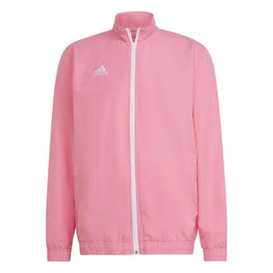 Bluza Męska Adidas Entrada 22 Presentation Jacket Różowa Hc5040-2Xl - Bluzy męskie - miniaturka - grafika 1