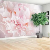 Fototapety - Fototapeta Piwonia Różowy - miniaturka - grafika 1