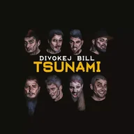 Country - CD Divokej Bill: Tsunami - miniaturka - grafika 1