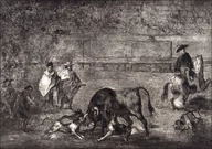 Plakaty - Plate C- The dogs let loose on the bull, Francisco Goya - plakat Wymiar do wyboru: 84,1x59,4 cm - miniaturka - grafika 1